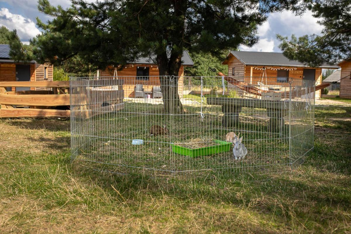 Sokole Ranczo Villa Biskupice Kocurów Buitenkant foto